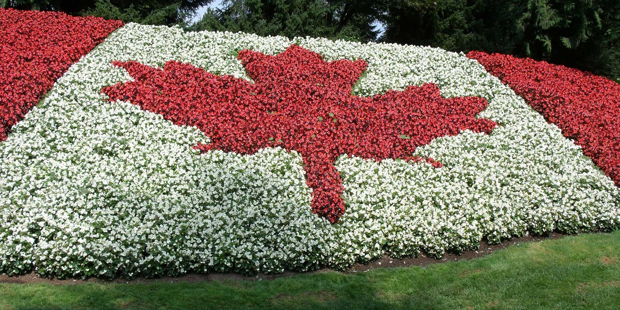 How COVID19 is affecting IRCC offices & VACs Immigration Lawyer BC